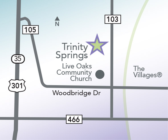 Trinity Springs map