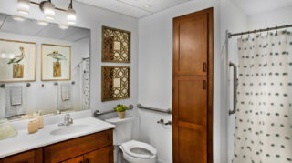 Apartment bathroom with vanity sink, large mirror, built-in storage cabinet, toilet, walk-in shower, and accessibility grab bars at Trinity Springs