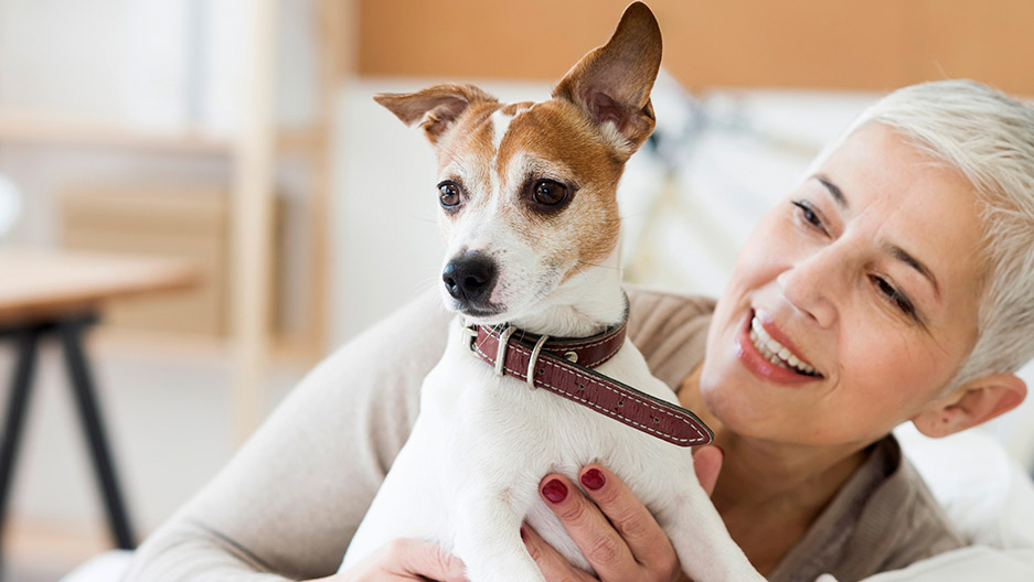 Adult holding a small dog indoors, representing pet-friendly living and access to a dog park like at Trinity Springs